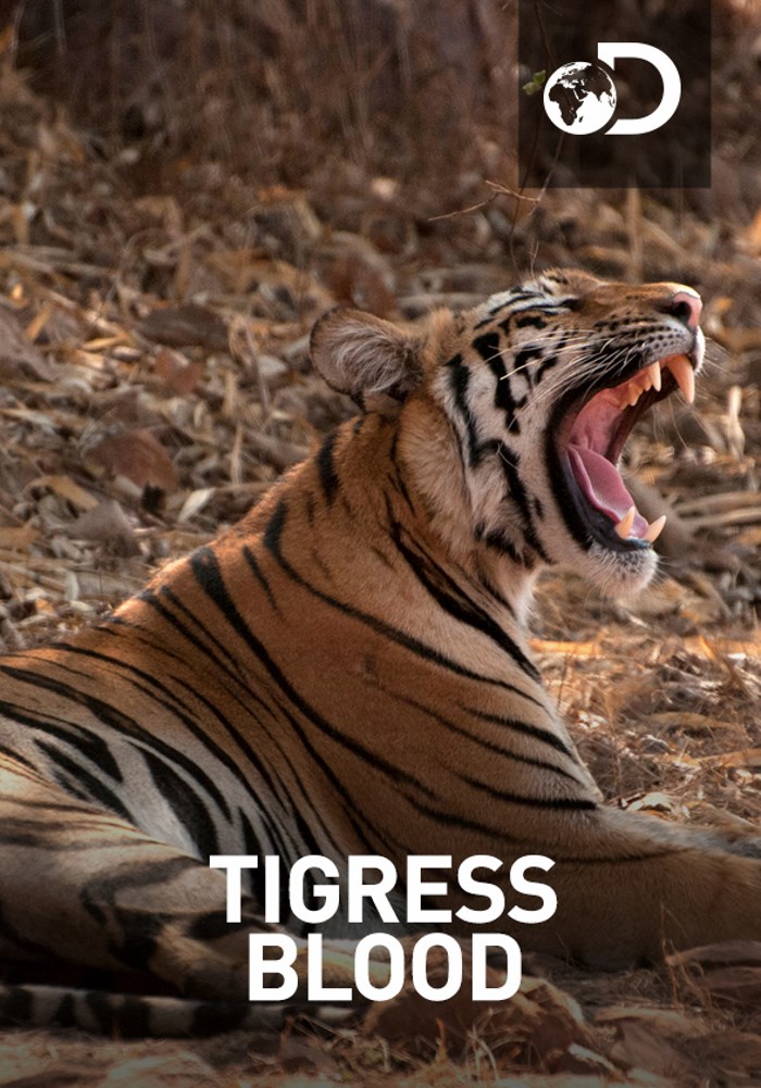 Tigress Blood